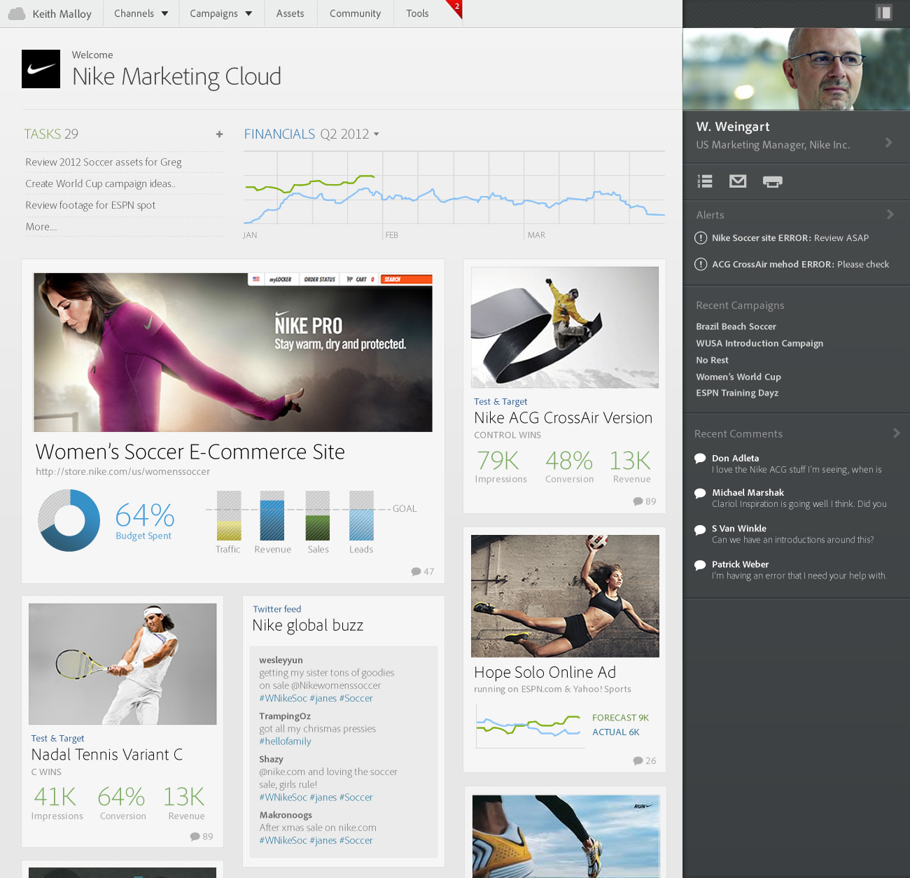 Adobe Marketing Cloud — the full Nike Marketing Cloud dashboard: channels, campaigns, tasks, financials, campaign performance, social buzz, alerts, and recent activity in one unified view